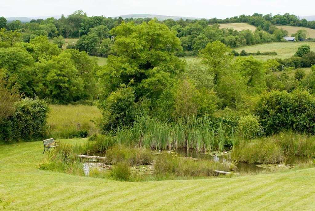 Lake Rise Holiday Home At Kilmaddaroe Carrick on Shannon Rom bilde